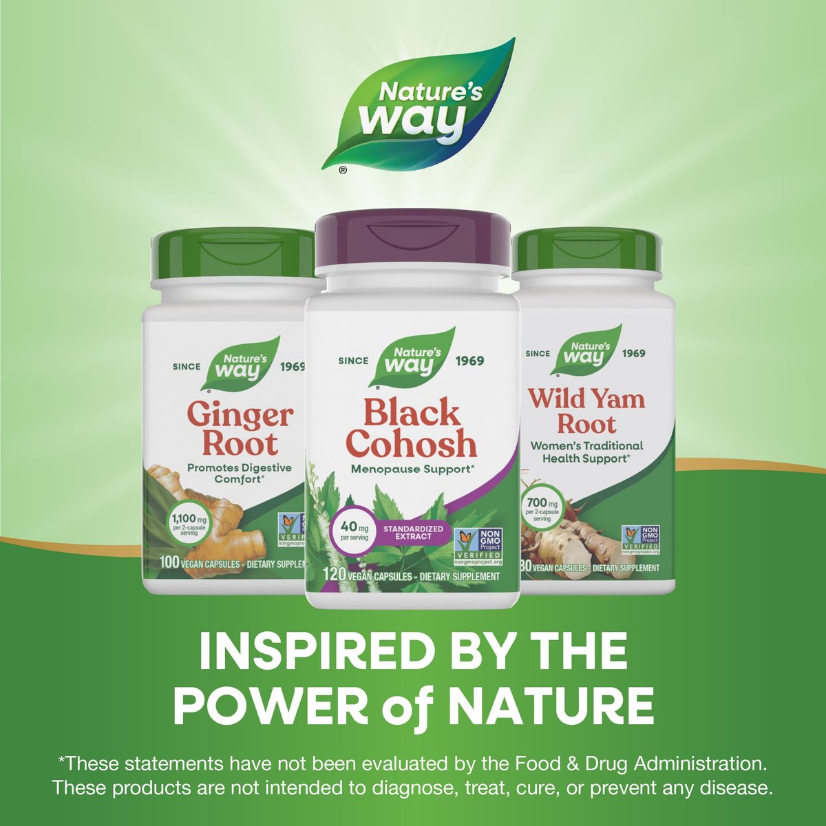 Nature's Way Black Cohosh Premium Extract, Helps Reduce Night Sweats and Promotes Restful Sleep for Women During Menopause*, 40 mg per Serving, 120 Vegan Capsules (Packaging May Vary) - görsel 14