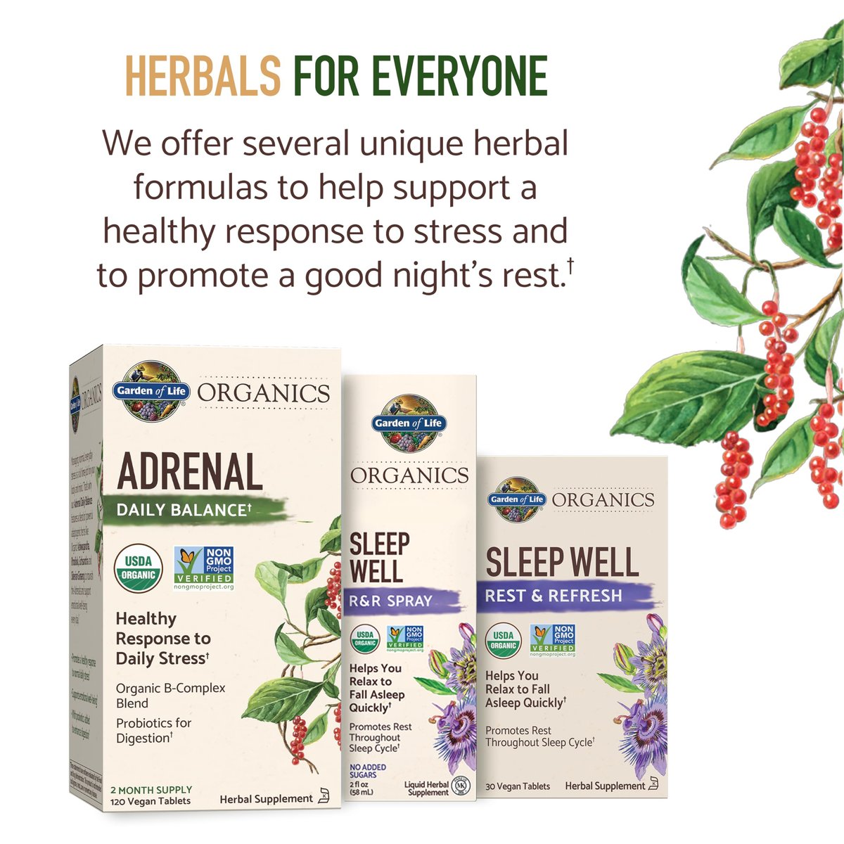 Garden of Life Organics Sleep Well Rest & Refresh Tablets with Lemon Balm, Green Tea Extract, Chamomile & Probiotics – Support for Restful Sleep & Relaxation, Non-GMO, Gluten-Free, Vegan, 30 Tablets - görsel 18