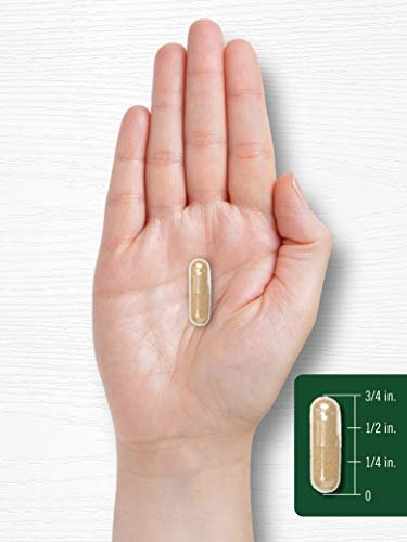 Carlyle Fo-Ti Supplement | 180 Capsules | He-Shou-Wu Root Extract | Non-GMO and Gluten Free - görsel 14
