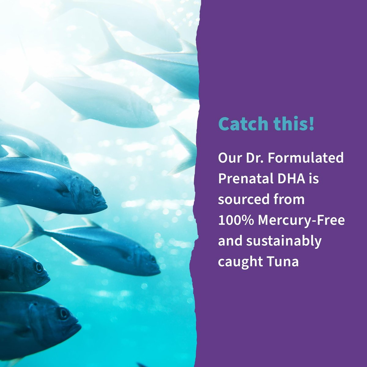 Garden of Life Dr. Formulated Prenatal DHA Fish Oil - 500mg DHA & DPA in Triglyceride Form 100% DV Vitamin D3, Single Source, Mercury Free Omega 3 Supplements for Women's Health, 30 Softgels - görsel 14