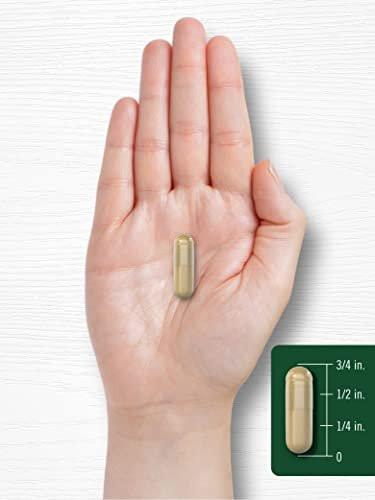 Carlyle Noni Fruit Capsules | 240 Count | Traditional Herb Supplement | Non-GMO, Gluten Free - görsel 14