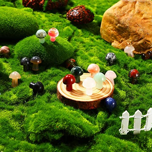 Nuanchu 20 Pcs Crystal Mushroom Decor Hand Making Mini Sculpture Mushroom Worry Stone Figurines Bulk Gemstone Polished Trinkets for Party Favors Stuff Witchcraft DIY Meditation Garden(Vivid Colors) - görsel 14