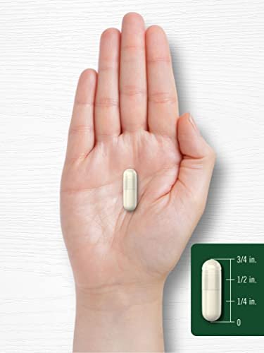 Carlyle Pueraria Mirifica Capsules | 120 Count | Root Extract | Non-GMO & Gluten Free Supplement - görsel 14