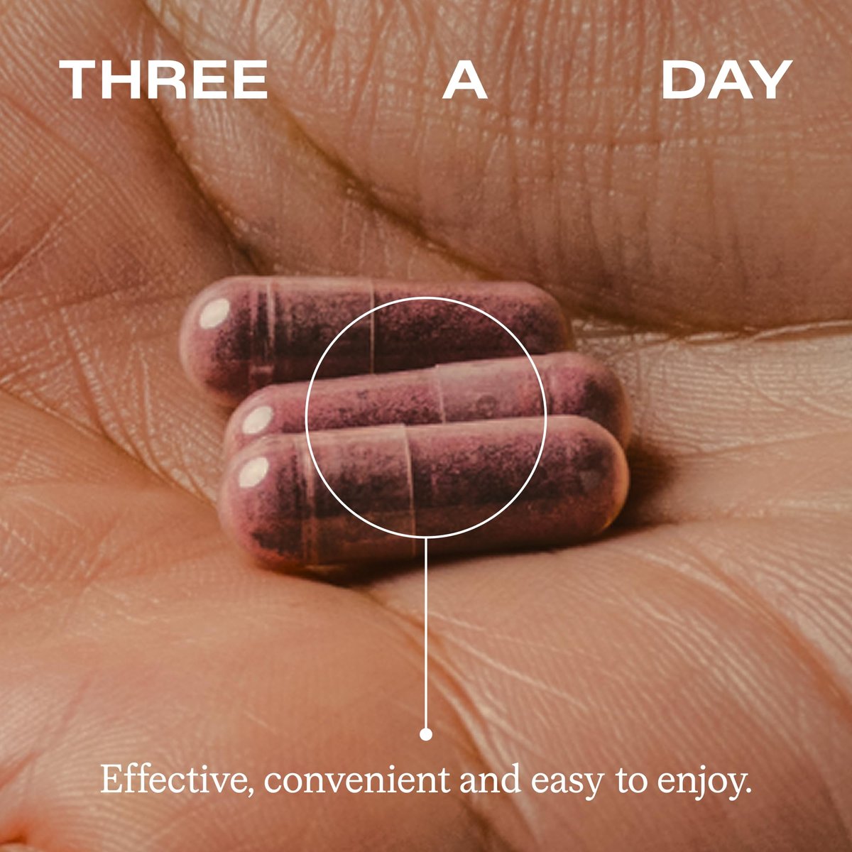 Humann SuperBeets Beet Root Capsules Quick – Non-GMO & Pure: Made with non-GMO beetroot powder, no artificial – Image 18