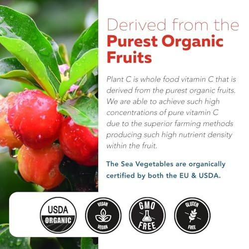 Organic Vitamin C | Whole Food Vitamin C from Fruit Plus Absorption Enhancing Cofactors - Vegan, Enhanced Bioavailability - Immune Support, Antioxidant, Total Health (90 Servings) - görsel 16