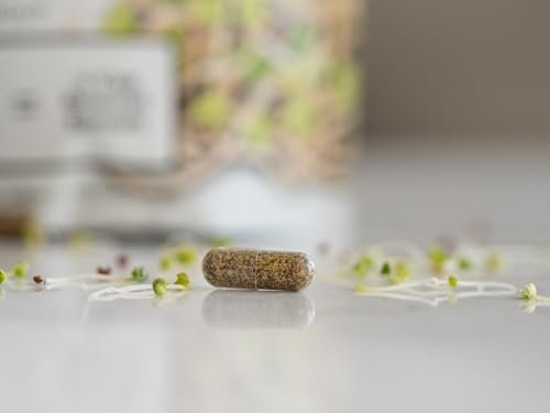 KOYAH - Organic Broccoli Sprout Capsules – Freeze-Dried Whole Broccoli Sprouts – 3rd Party Tested for Active Myrosinase & Glucoraphanin (Sulforaphane Glucosinolate) - 60 Capsules - görsel 18