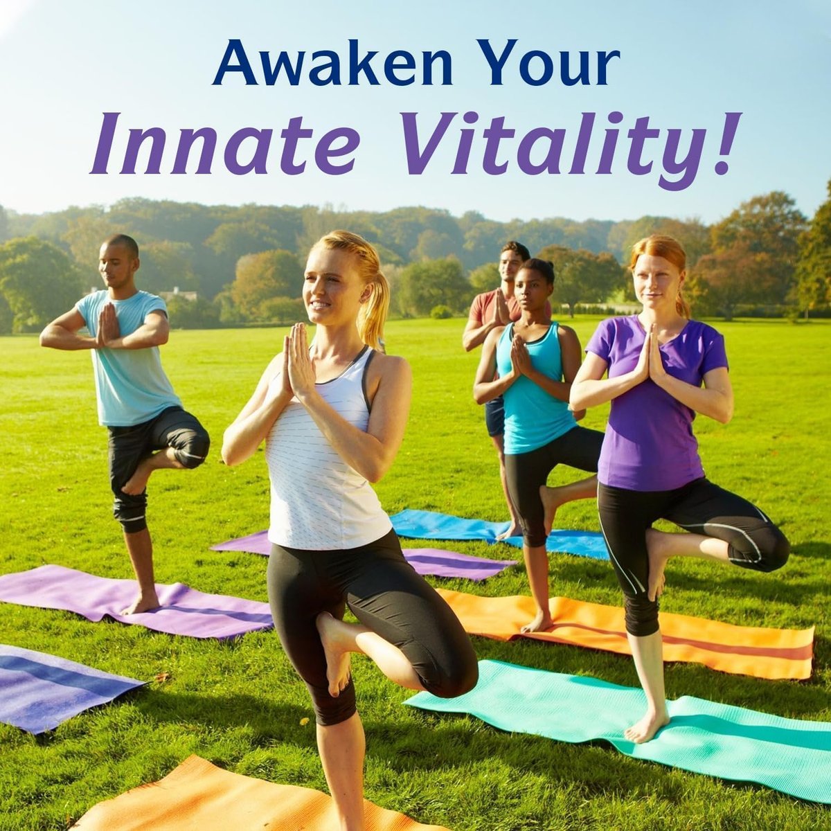 Innate Vitality 12-in-1 Magnesium Complex, 500 mg Elemental Mag, with Magnesium Glycinate Malate Taurate Aspartate & More, Non-GMO, for Nerves, Sleep, Heart, Energy, 120 Veg Caps - görsel 16