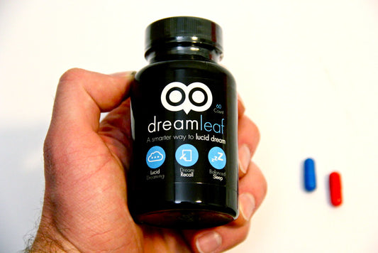 Valerian root for sleep supplement capsules on a wooden table with a small plant