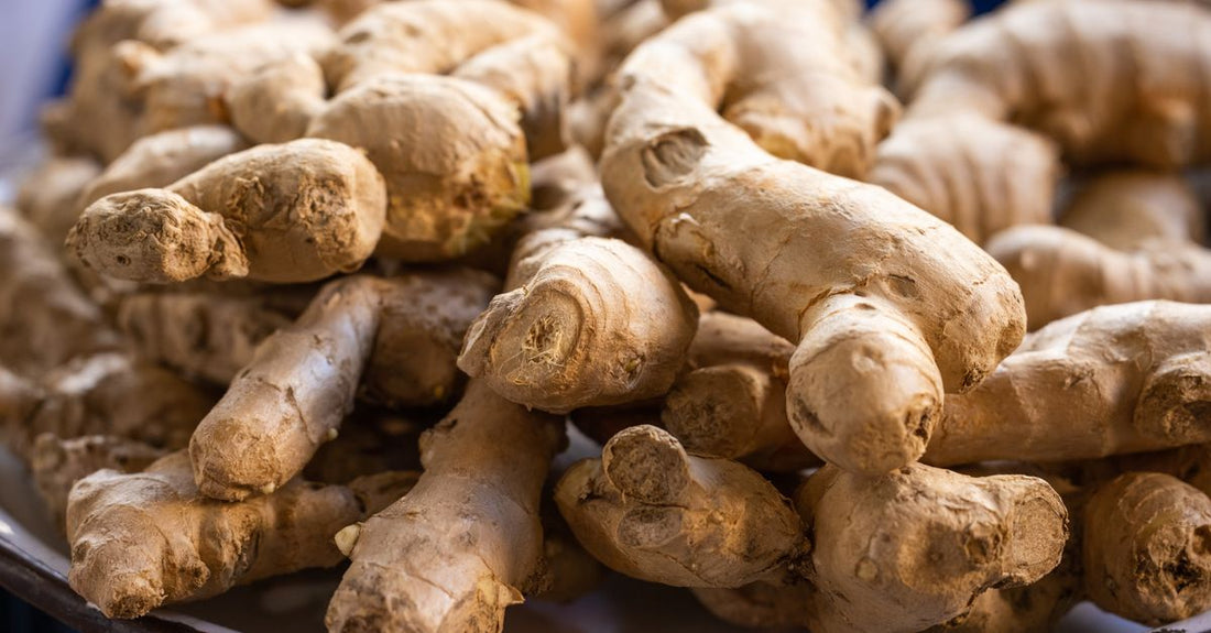 Fresh ginger root on a dark surface, the focus of a ginger buying guide UK for vitamin and mineral store shoppers.