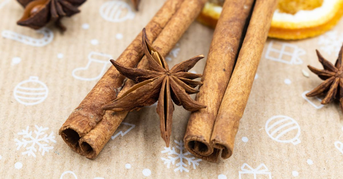 Two types of cinnamon sticks side by side, illustrating cinnamon cassia vs ceylon visual differences for identification