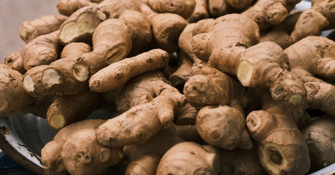 A jar of ginger root capsules on a clean surface, representing how to choose ginger UK in 2026