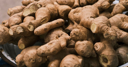 A jar of ginger root capsules on a clean surface, representing how to choose ginger UK in 2026