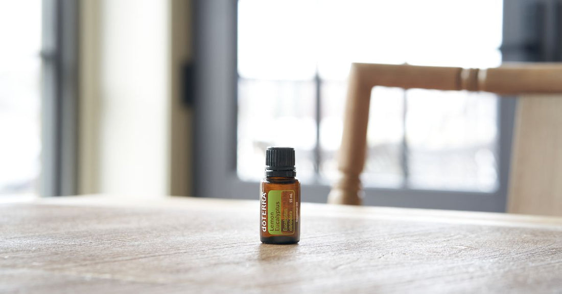 A glass bottle of oregano oil supplement with fresh oregano sprigs alongside, representing best oregano UK 2026.