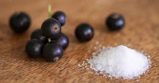 Black currant oil softgels arranged on a neutral background, illustrating how to choose black currant oil UK supplements for skin and hormonal health.