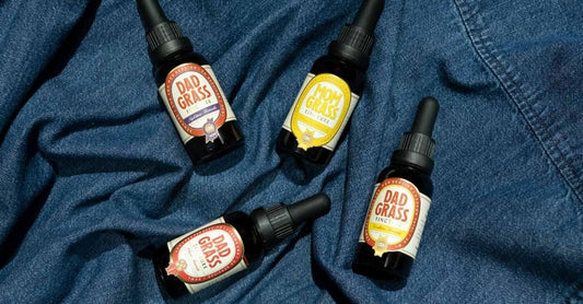 Assorted herbal supplement capsules and tincture bottles arranged on a neutral background, representing best herbal supplements UK 2026.
