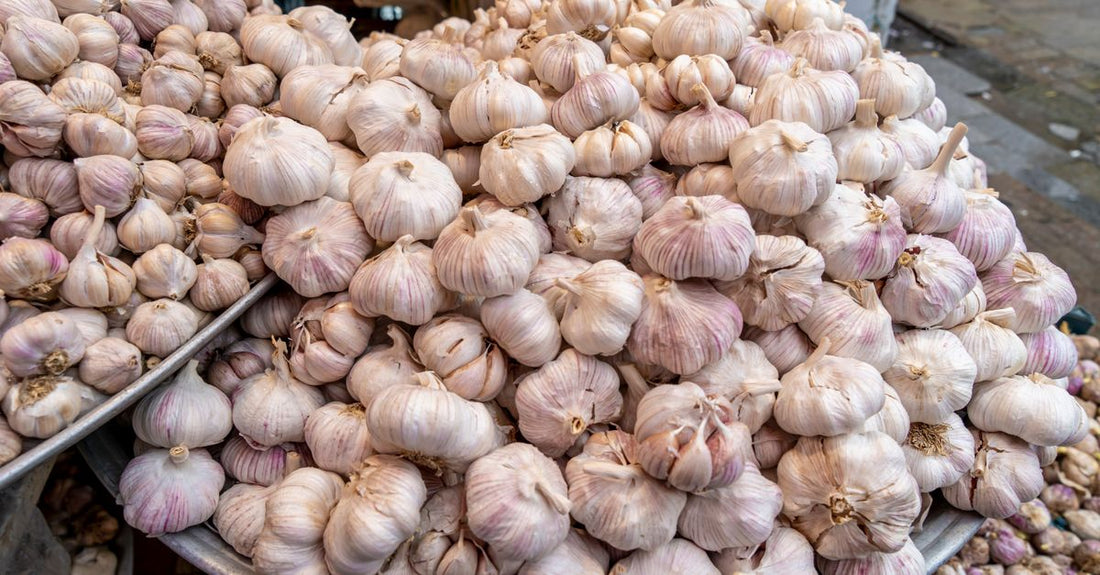 A selection of garlic supplement capsules and fresh garlic cloves on a wooden surface, illustrating the best garlic UK 2026 options.
