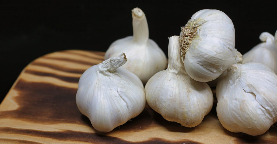 A selection of garlic supplement capsules on a clean surface, illustrating a garlic buying guide UK for daily health routines.