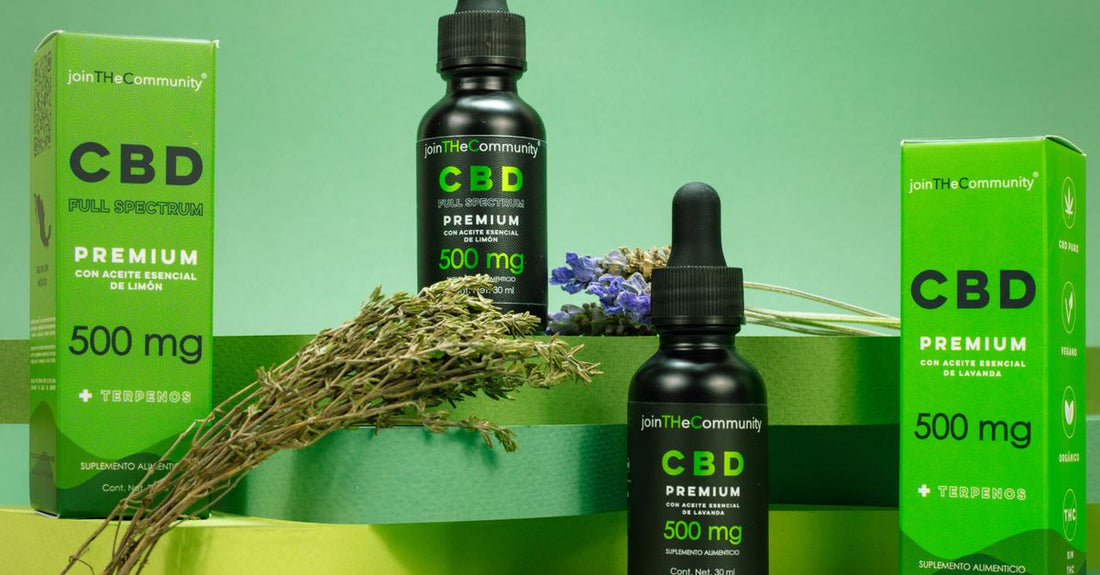 Hemp buying guide UK: a bottle of cold-pressed hemp seed oil and a jar of organic hemp protein powder on a light surface.