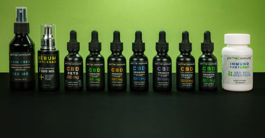 Five supplement bottles arranged on a light surface, representing the best all products 2026 for UK wellness shoppers.