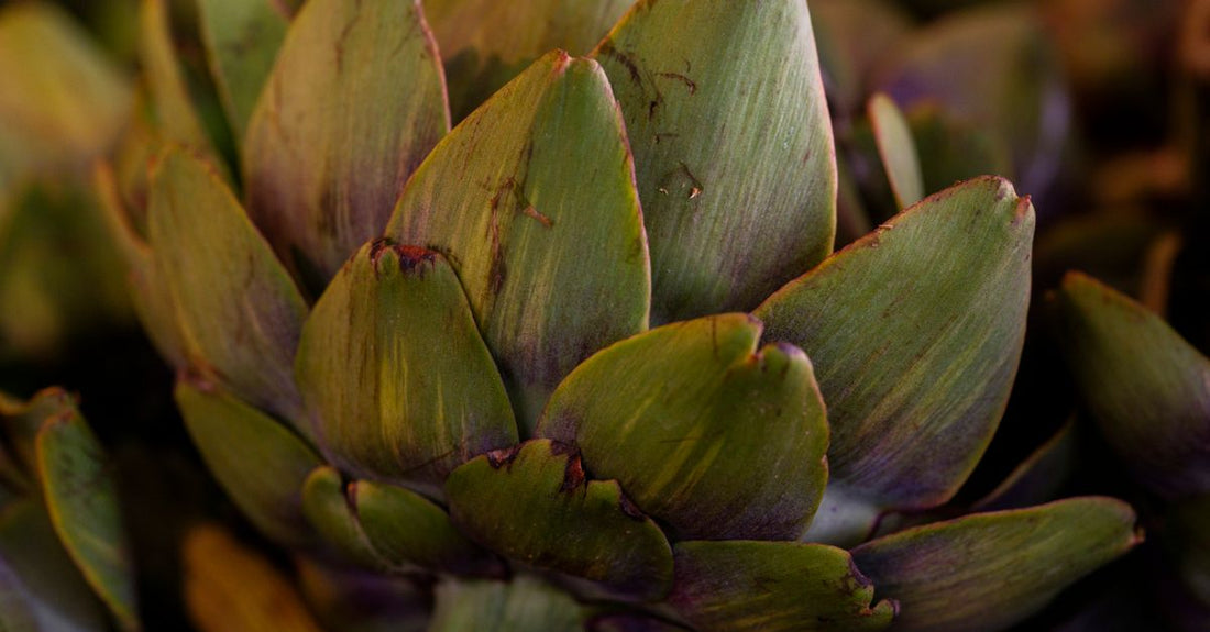 Artichoke extract capsules in a glass bottle on a light background, representing the best artichoke 2026 supplements available in the UK.