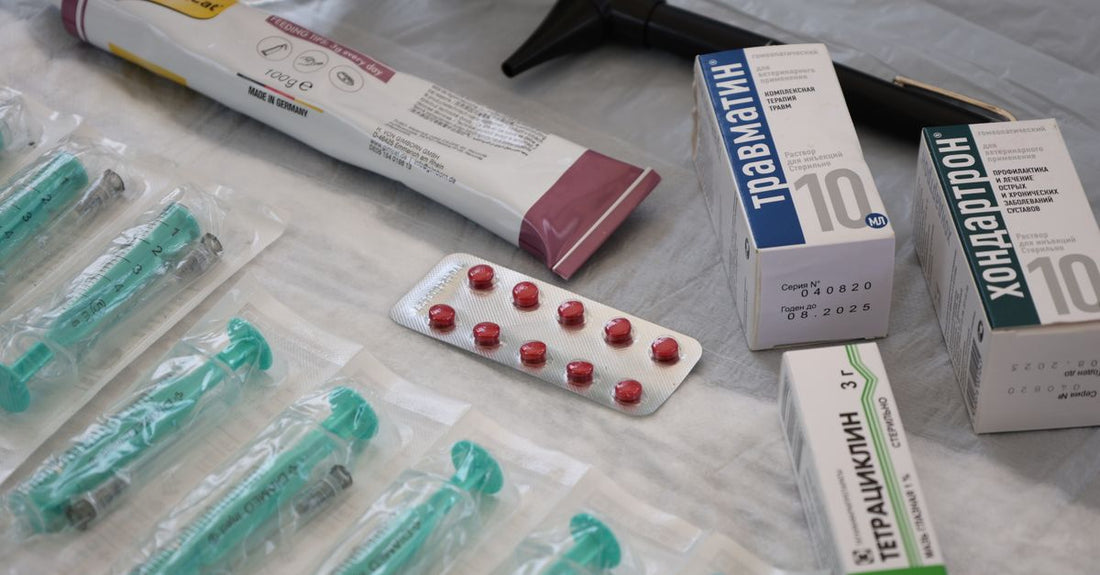 A variety of adhesive bandages in different sizes and materials arranged on a clean surface, illustrating how to choose adhesive bandages for every need.