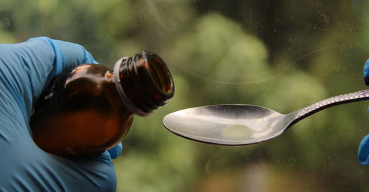 Bottle of elderberry syrup with fresh elderberries for flu support