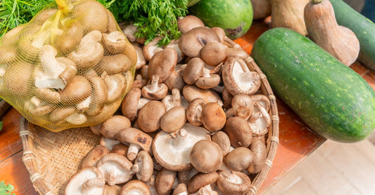 Assorted jars of best mushrooms UK 2026 functional mushroom supplements displayed on a clean surface.