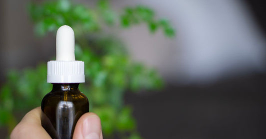 Glass bottle of golden borage oil for skin on a neutral background