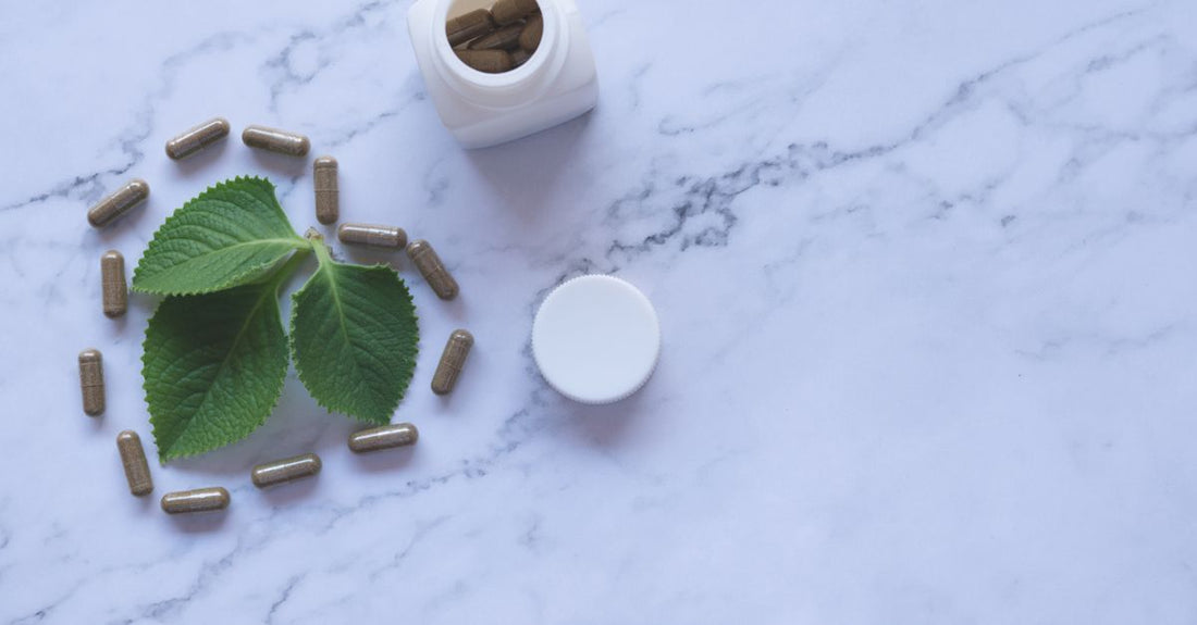 Bottle of andrographis paniculata capsules for immune support on a clean white background