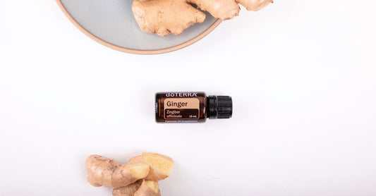 A selection of high-quality ginger supplement bottles and capsules arranged on a clean surface, representing the best ginger UK 2026 choices.