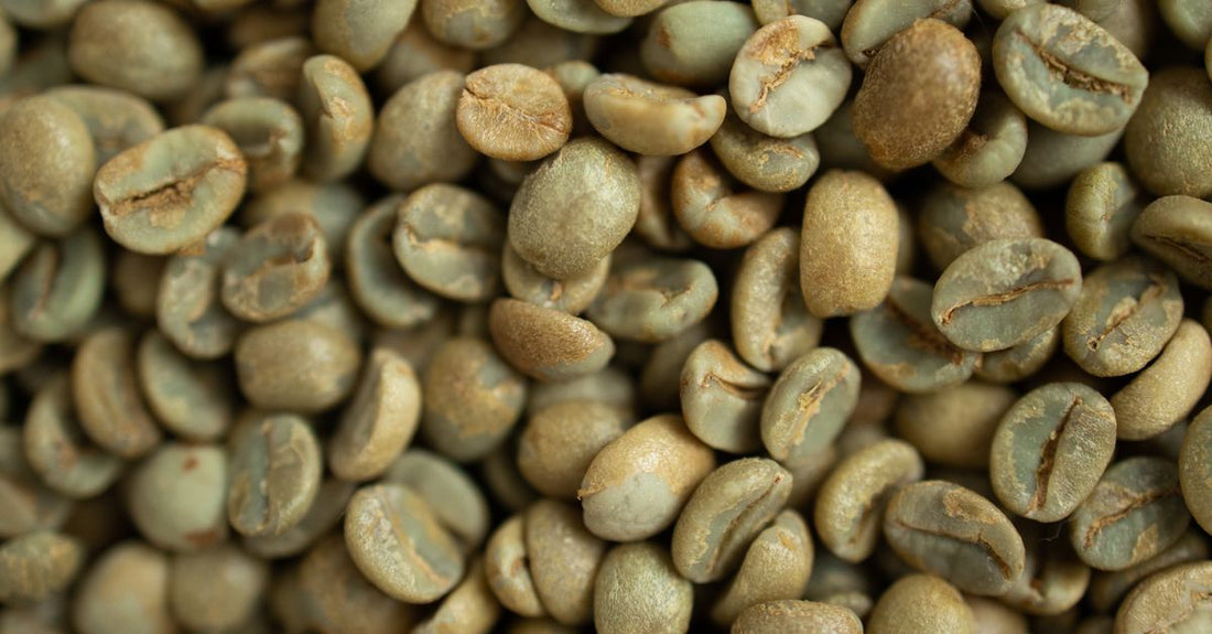 Green coffee bean extract 800 mg capsules in a bottle with fresh green coffee beans on a wooden surface