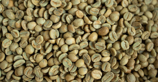 Green coffee bean supplement capsules next to a few raw green coffee beans on a clean surface, illustrating weight loss support.