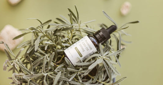 A glass bottle of olive leaf extract supplement next to fresh olive leaves on a light background, illustrating an olive leaf buying guide UK