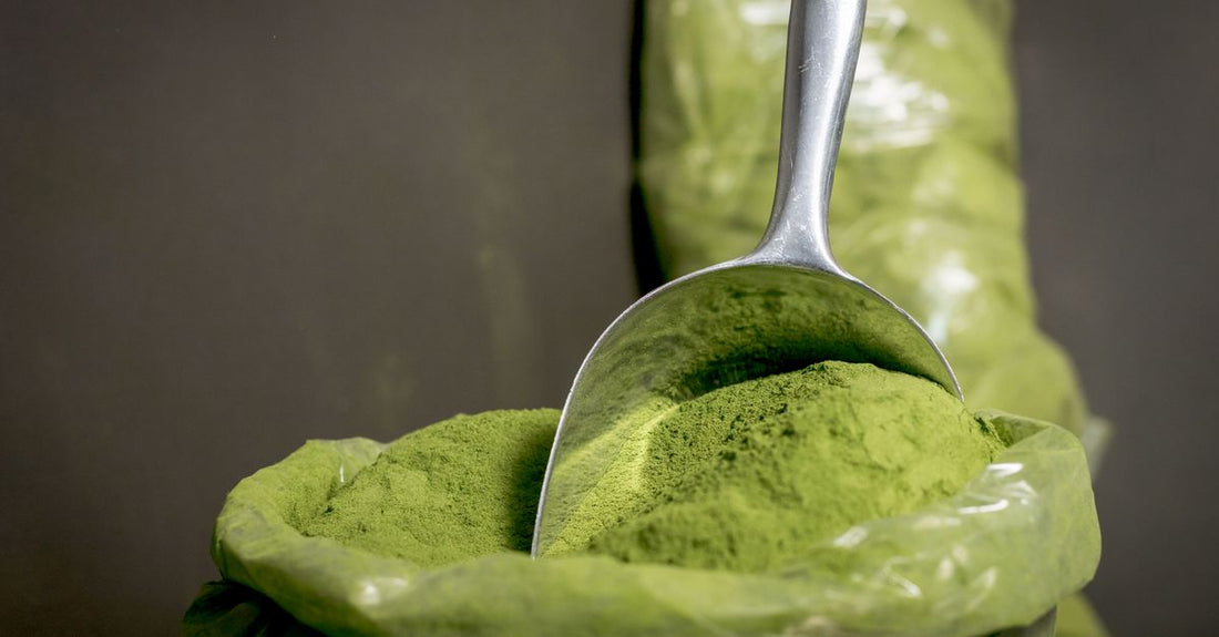 Amino acid powder in a scoop on a clean white background, illustrating amino acids buying guide UK for Nutrisentra