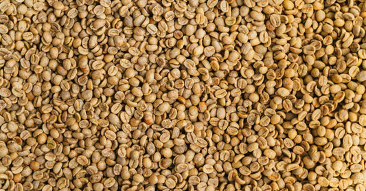 Green coffee bean extract capsules in a jar, representing a UK buying guide for chlorogenic acid supplements.