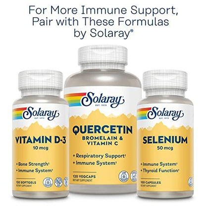 SOLARAY Vitamin C 500mg, Two-Stage Timed Release - Antioxidant and Immune Support Supplement - Vitamin C with Rose Hips and Acerola, Vegan, Gluten Free, 60-Day Guarantee, 250 Servings, 250 VegCaps