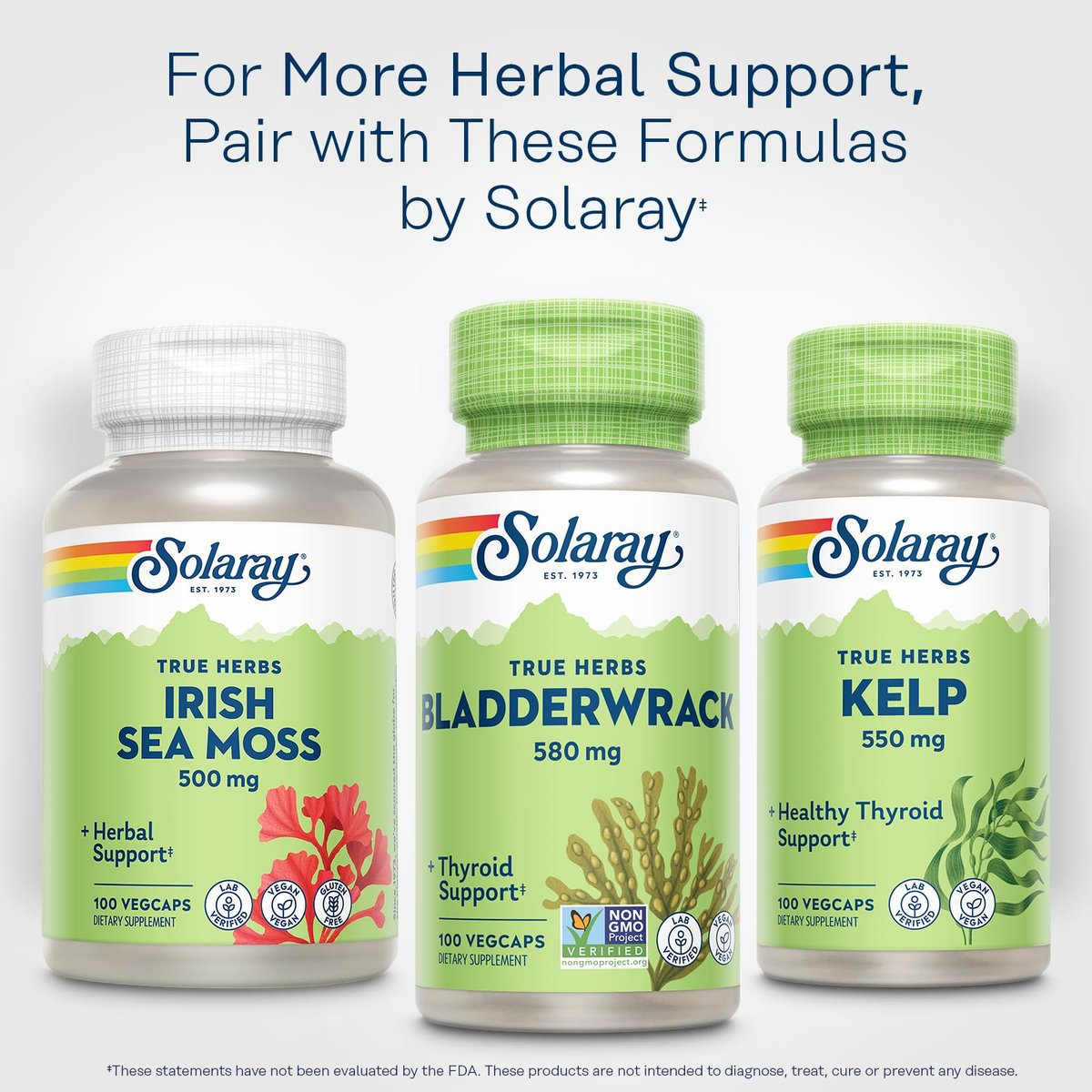SOLARAY Bladderwrack Capsules 580 mg - Nutrient-Packed Seaweed Supplement, High in Iodine - Balanced Herbal Support - Vegan, Non-GMO, 60-Day Guarantee, Lab Verified - 100 Servings, 100 VegCaps - görsel 3