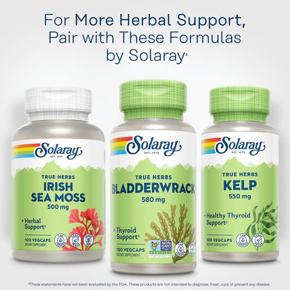 SOLARAY Bladderwrack Capsules 580 mg - Nutrient-Packed Seaweed Supplement, High in Iodine - Balanced Herbal Support - Vegan, Non-GMO, 60-Day Guarantee, Lab Verified - 100 Servings, 100 VegCaps