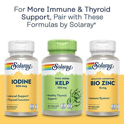 SOLARAY Selenium 100 mcg Supplement for Women & Men - Selenium 100mcg Capsules, Thyroid & Immune Health Support, Yeast Free, L Selenomethionine, Antioxidant Support, Vegan - 90 Veg Caps