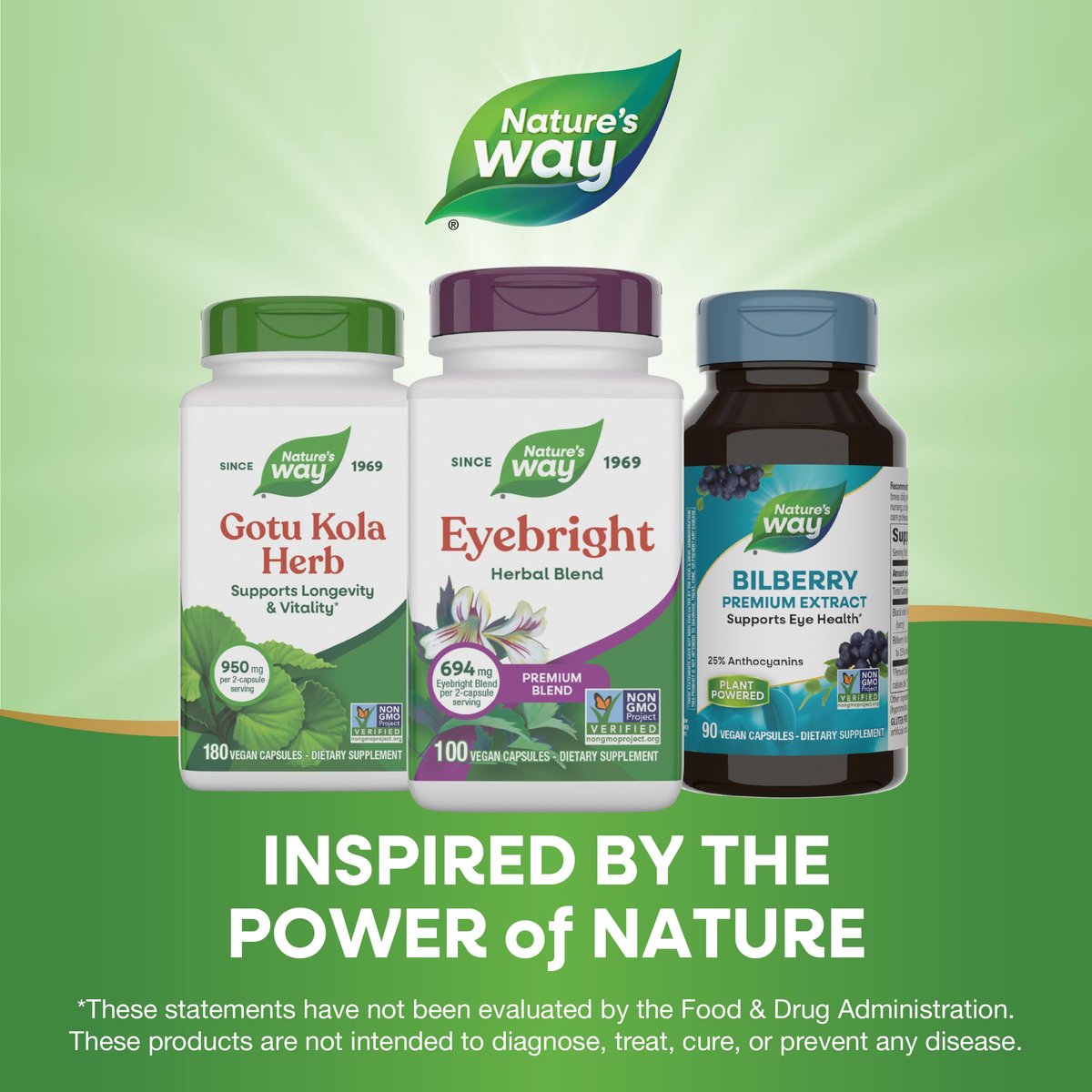 Nature's Way Eyebright Herb Premium Blend, Herbal Blend, Non-GMO Project Verified, Eyebright Supplement, Vegan, 100 Capsules (Packaging May Vary) - görsel 14