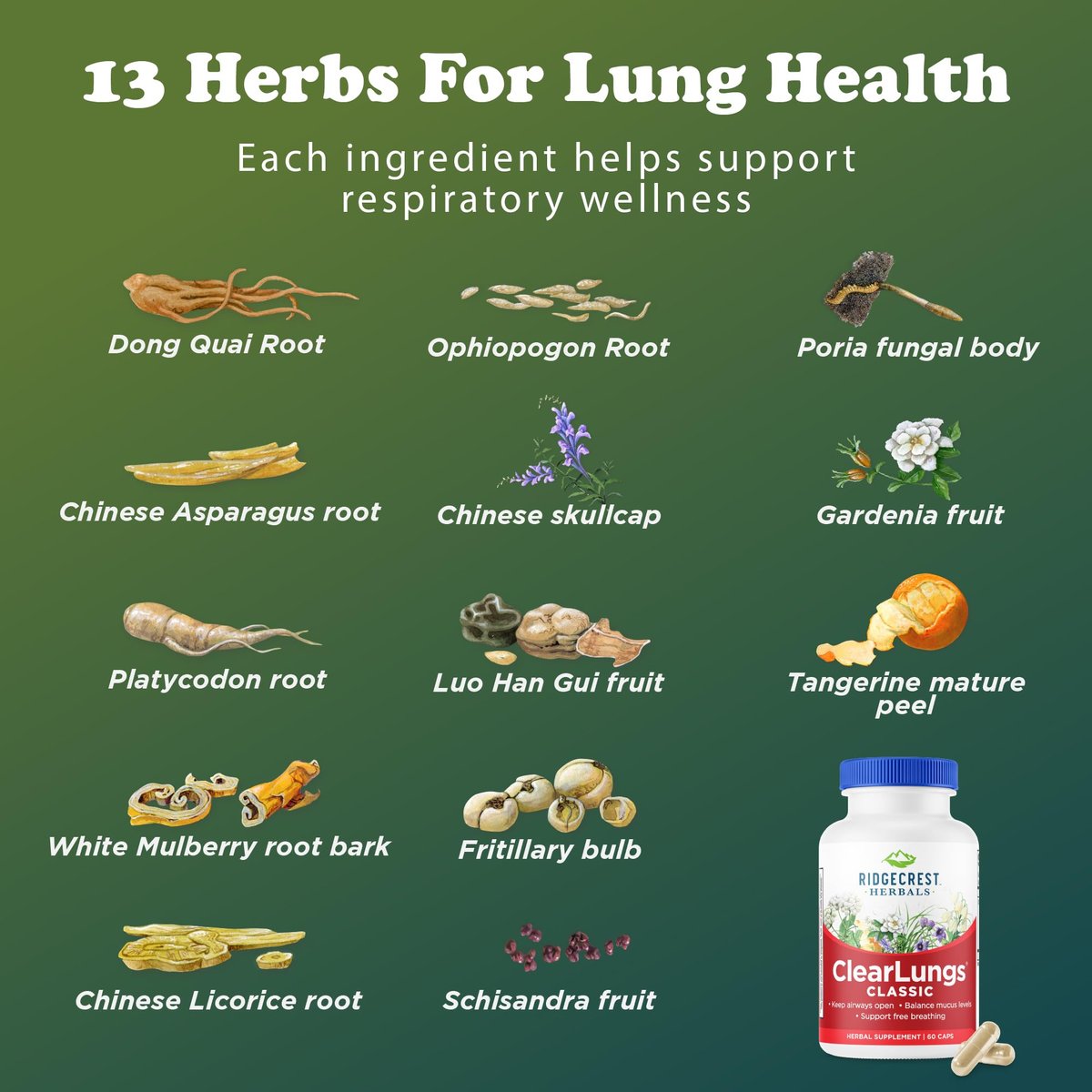 RidgeCrest Herbals ClearLungs Classic – Natural Lung & Respiratory Support with 60 Vegan Capsules - görsel 2