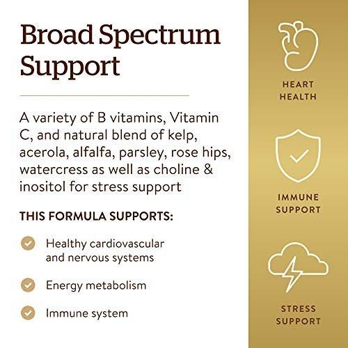 Solgar B-Complex with Vitamin C Stress Formula, 250 Tablets - Energy Metabolism, Nervous System & Immune Support - Non-GMO, Vegan, Gluten Free, Dairy Free, Kosher - 125 Servings