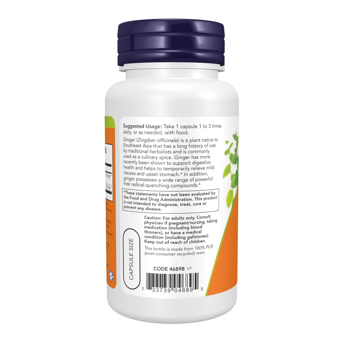 NOW Foods Supplements, Ginger Root Extract 250 mg, Temporary Relief of Upset Stomach, Digestive Support, 90 Veg Capsules - görsel 1