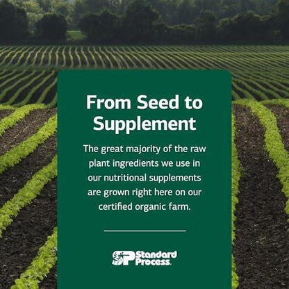 Standard Process Wheat Germ Oil - Supports Antioxidant Activity & Immune Health - Supports Exercise Activity, Body Health & Cellular Function - Gluten-Free, Non-Dairy & Non-Soy - 60 Softgels
