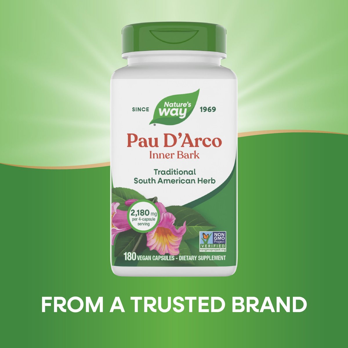 Nature's Way PAU d'Arco Inner Bark, Traditional South American Herb, 2,180 mg per 4-Capsule Serving, Non-GMO Project Verified, 180 Capsules (Packaging May Vary) - görsel 8