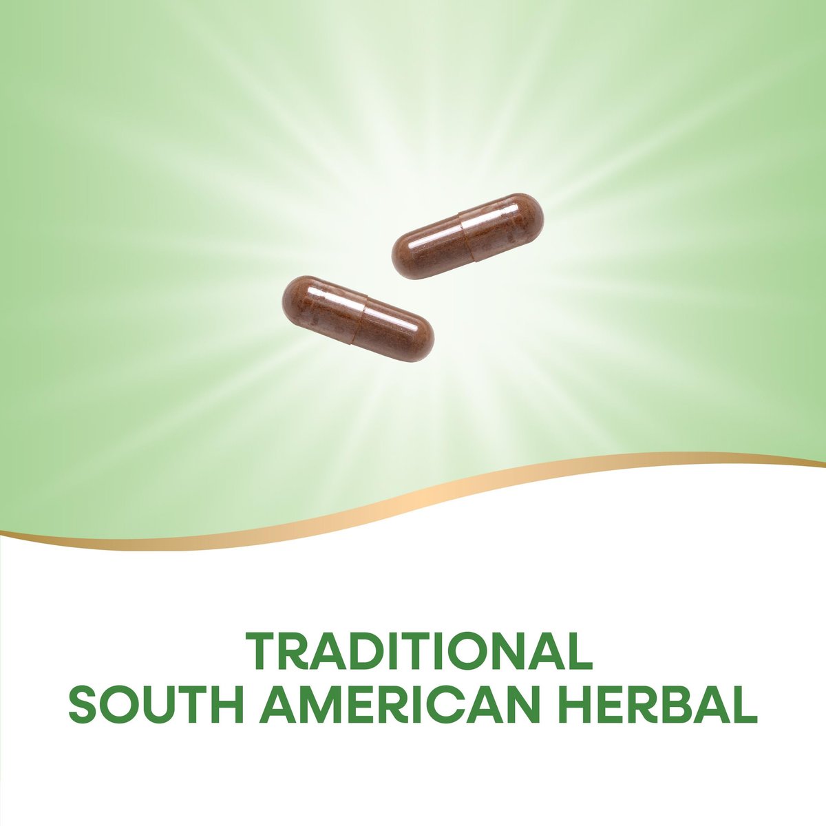 Nature's Way PAU d'Arco Inner Bark, Traditional South American Herb, 2,180 mg per 4-Capsule Serving, Non-GMO Project Verified, 180 Capsules (Packaging May Vary) - görsel 6