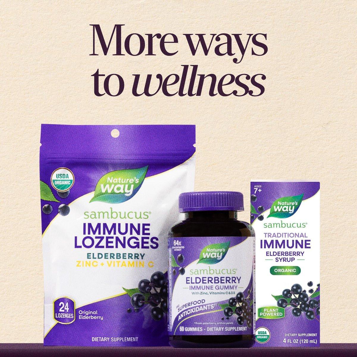 Nature’s Way Sambucus Elderberry Traditional Immune Syrup, Highly Concentrated Black Elderberry Extract, Traditional Immune Support, Delicious Berry Flavored, 8 Fl Oz (Packaging May Vary) - görsel 12