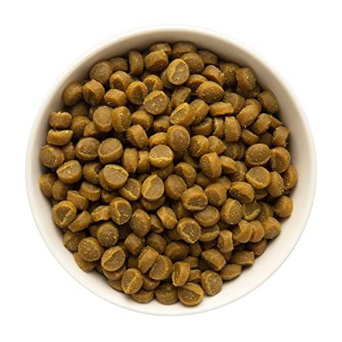 Zuke’s Mini Naturals Dog Training Treats for Dogs of All Sizes, Pet Treats made with Real Salmon, 16 oz. Resealable Pouch - görsel 5