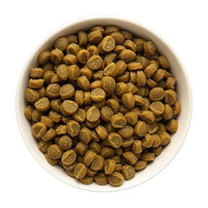 Zuke’s Mini Naturals Dog Training Treats for Dogs of All Sizes, Pet Treats made with Real Salmon, 16 oz. Resealable Pouch