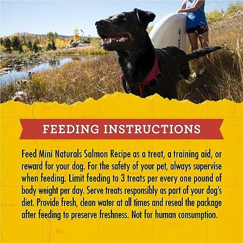 Zuke’s Mini Naturals Dog Training Treats for Dogs of All Sizes, Pet Treats made with Real Salmon, 16 oz. Resealable Pouch - görsel 1